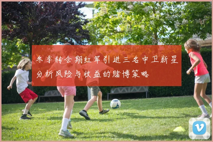 冬季转会期红军引进三名中卫新星分析风险与收益的赌博策略