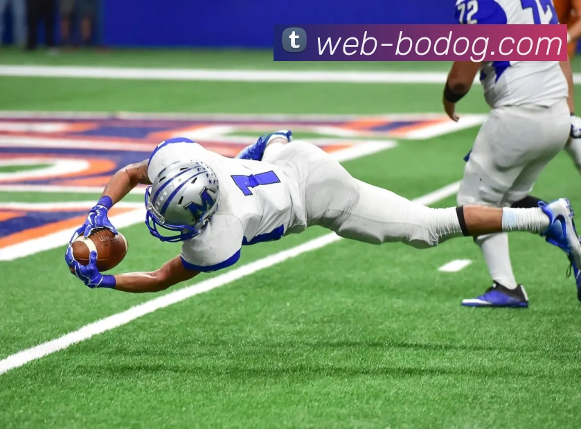 App Interface Preview