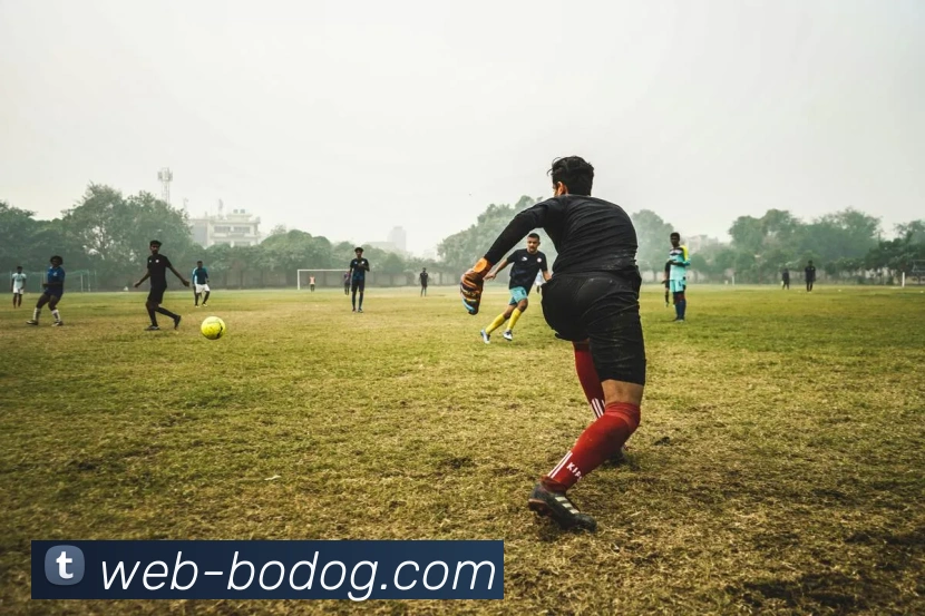 博狗娱乐APP 封面图